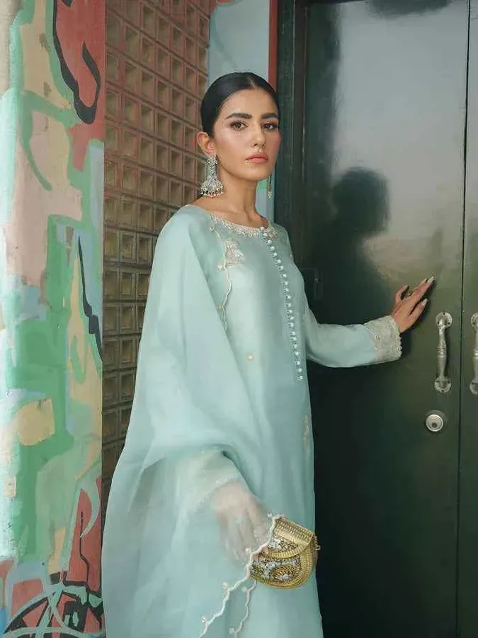 Afsana Raw Silk